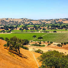 Foxen Canyon, CA, USA - June 25, 2015: Landscape view of the vineyards in the Foxen Canyon Wine trail region in Santa Barbara County of California